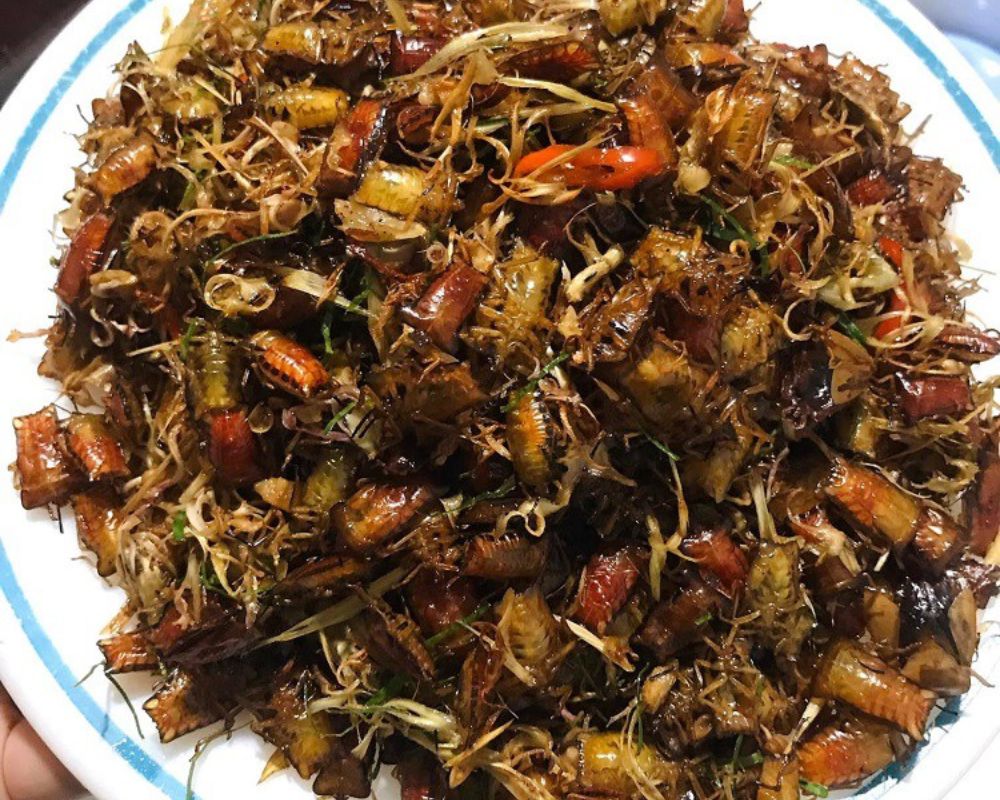 Bọ xít chiên giòn