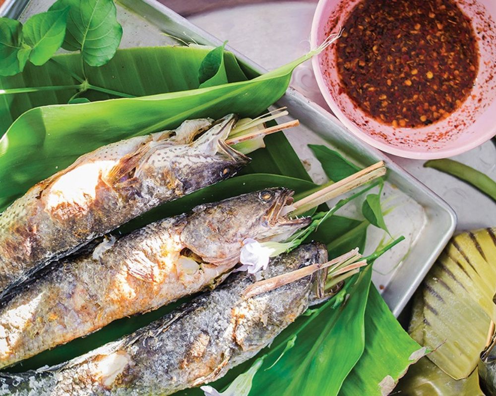Cá suối nướng