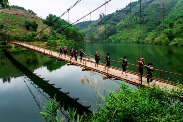 Cầu Hồ Ly
