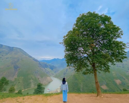 Ghé thăm cây cô đơn với mỏm Cá Heo trong chuyến đi đến Tà Xùa
