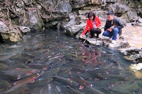 Thuê xe limouisne đi đền sòng cô chín, suối cá thần