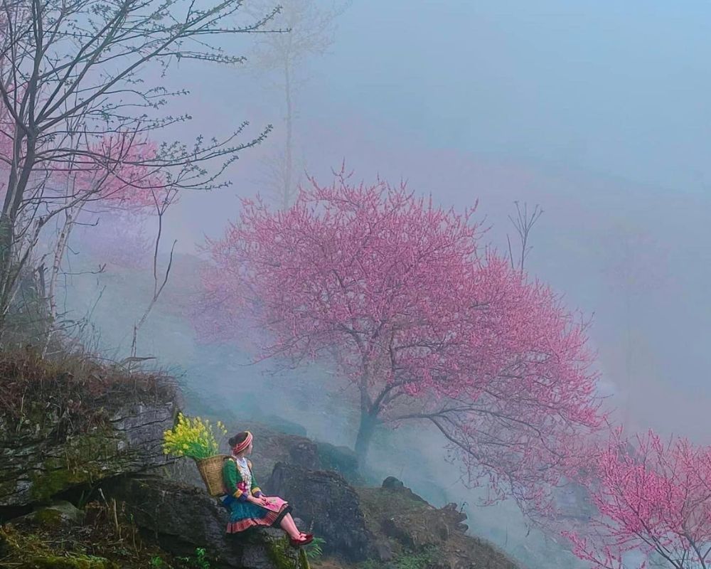 Hà Giang đẹp như tranh vẽ vào tháng 1 &2