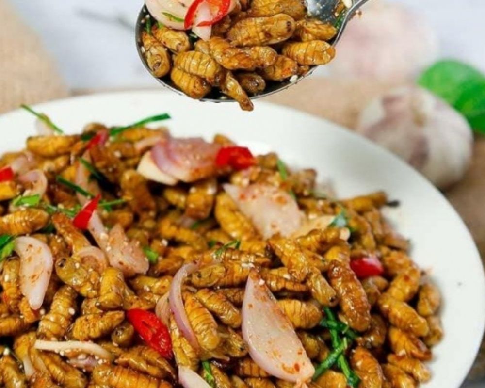 Nhộng ong rừng Mù Cang Chải