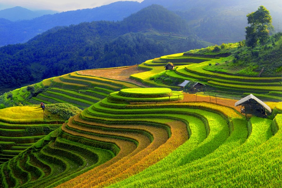 Tìm hiểu đôi nét về vùng đất Mù Cang Chải