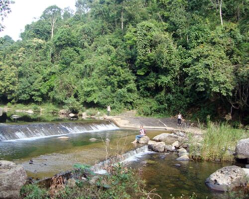 Rừng nguyên sinh Khe Rỗ