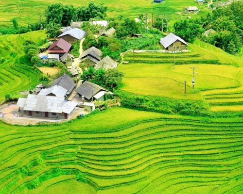 Ruộng bậc thang