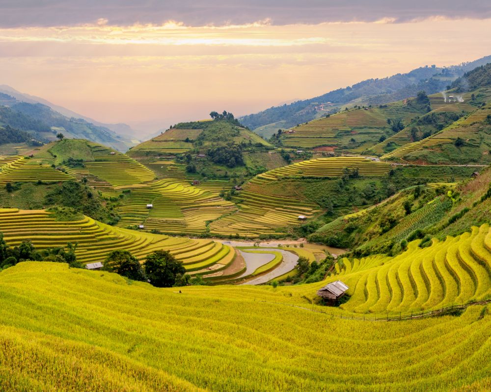 Nên đi du lịch Sapa mùa nào, tháng nào đẹp nhất?