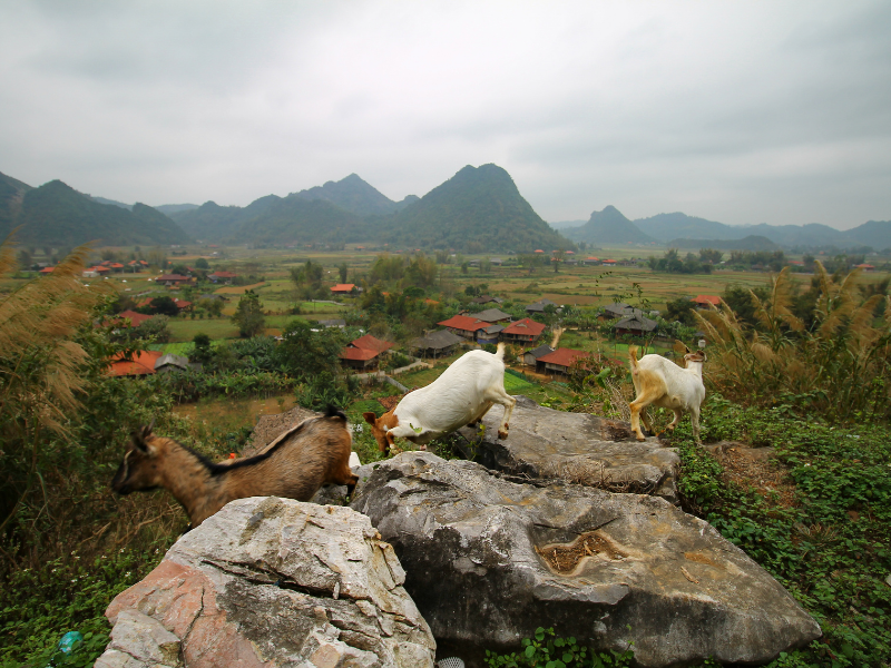 Bắc Xa là một địa điểm du lịch Lạng Sơn thú vị