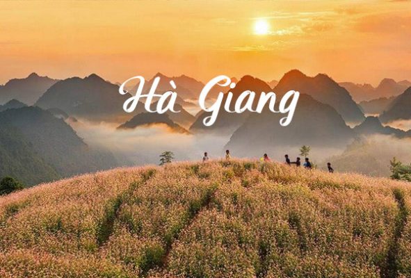 Thuê xe Limousine đi Đông Tây Bắc Hà Giang