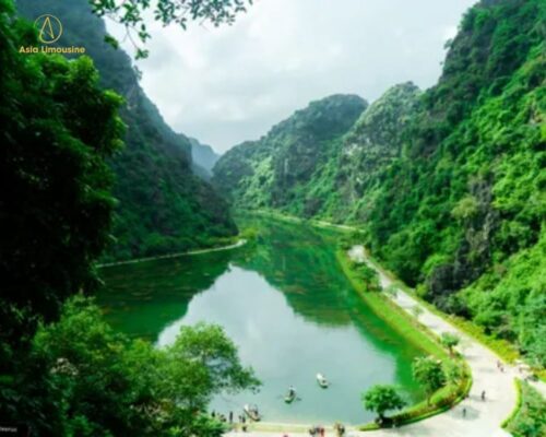 Tuyệt Tình Cốc