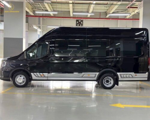 Xe Dcar Limousine 12 chỗ thượng đỉnh
