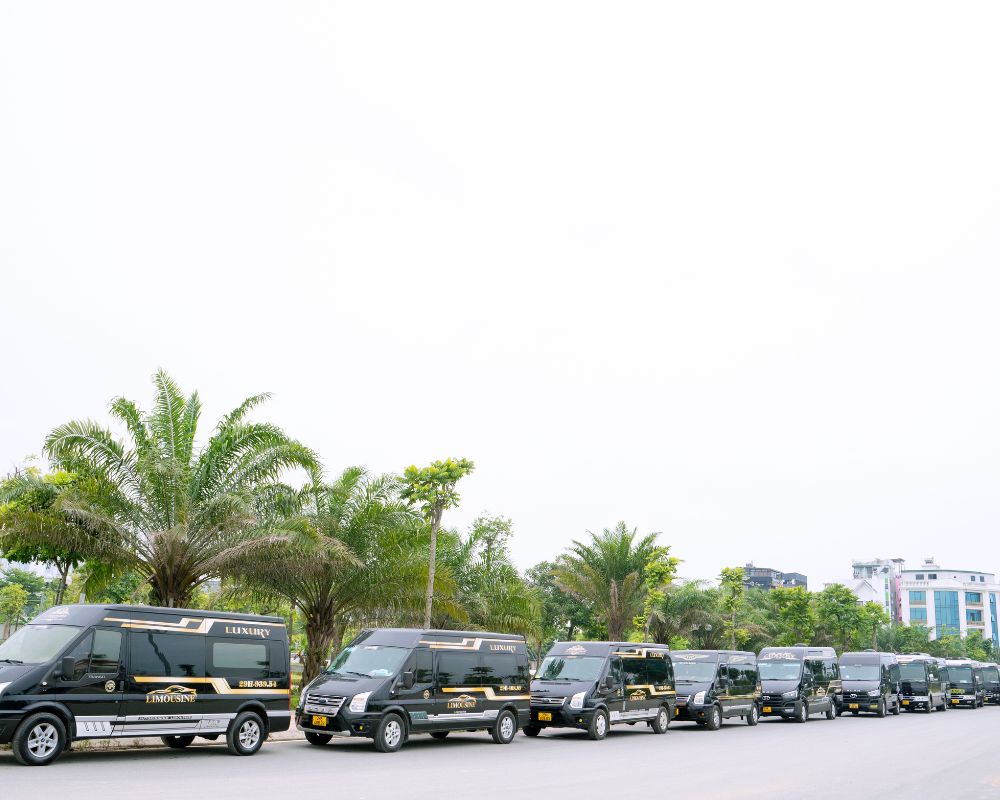 Dàn xe limousine 9 chỗ Dcar, Solati của Asia Limousine