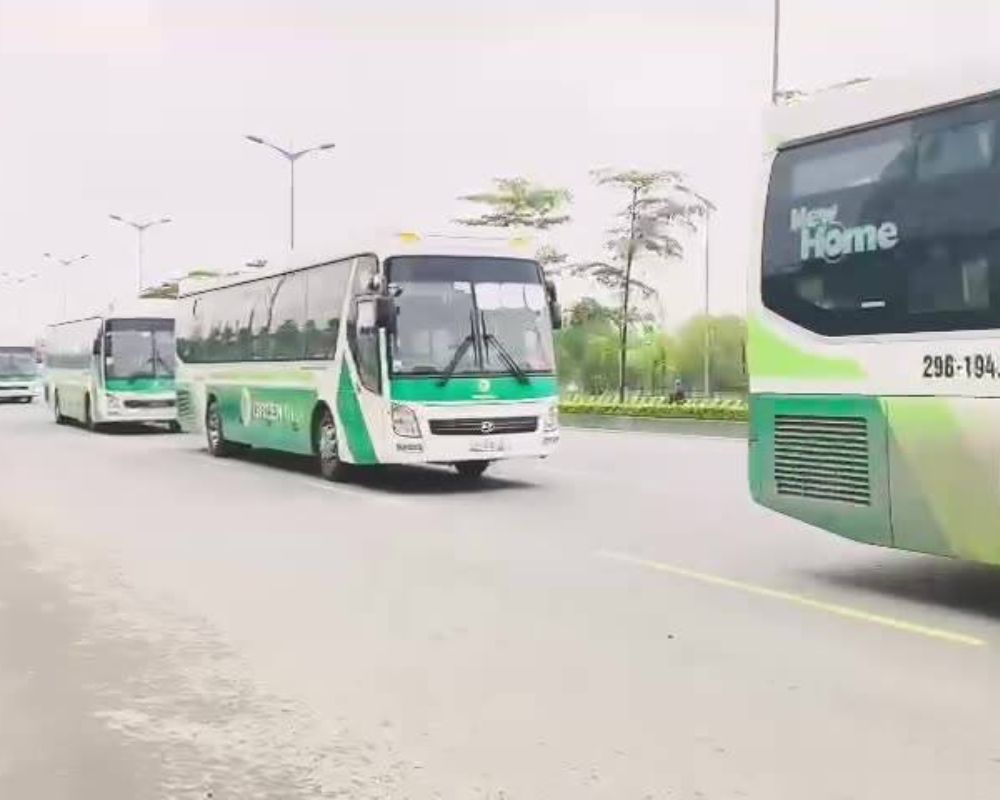 Xe giường nằm Green Bus