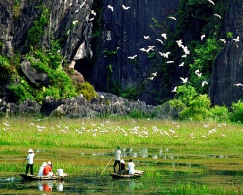  Khu Du Lịch Sinh Thái Vườn Chim Thung Nham Ninh Bình