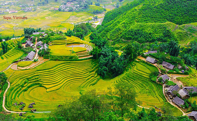 Thuê xe limousine Bắc Ninh đi Sapa
